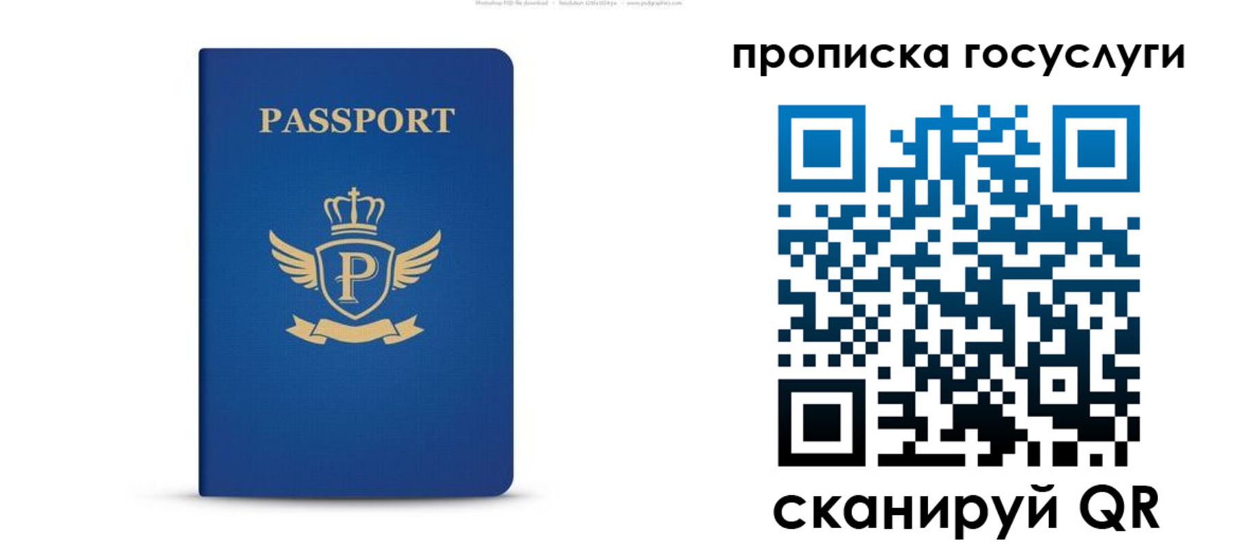 прописка для школы в Сертолово